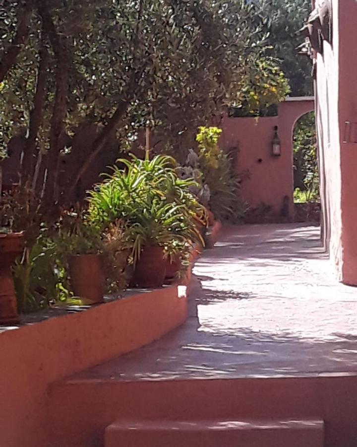 Auberge Le Mouflon Ouirgane Exterior photo